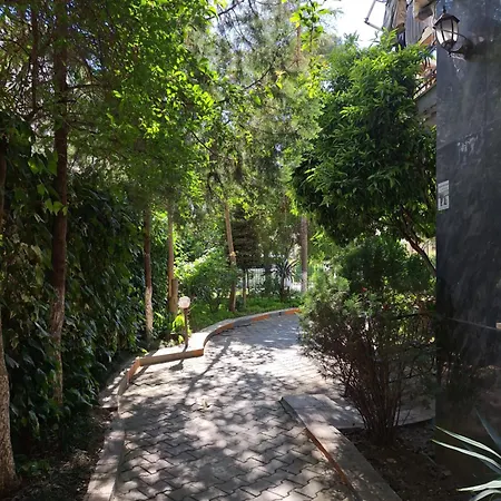 Katerina's Cozy * Golem (Tirana)